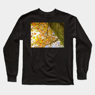 Colorful Fall Tree, Yellow, Gold, Rust Colored Leaves: Photograph Leaves Artful Autumn Long Sleeve T-Shirt